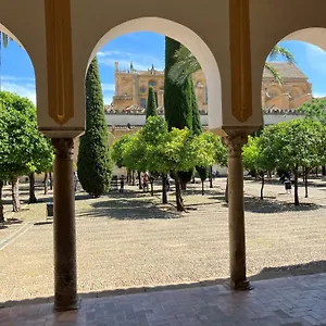 https://precioso-apartamento-junto-a-la-mezquita.es-andalucia.com